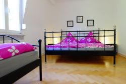 Heidelberg heidel-home : OG 2 Zimmer