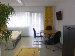 Heidelberg Ferienwohnung Gollas II : Blick ins Wohnzimmer