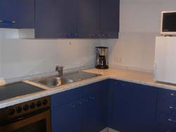Heidelberg Ferienwohnung Gollas II : K�che